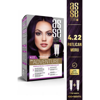 Asse Adventure Set Saç Boyası No:4.22 Patlıcan Moru – Kalıcı Krem Boya