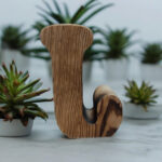 Renkli Tasarım Evi Kişiye Özel Harf Mumluk-j Harfi