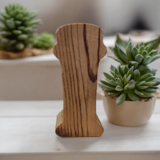 Renkli Tasarım Evi Kişiye Özel Harf Mumluk-i Harfi